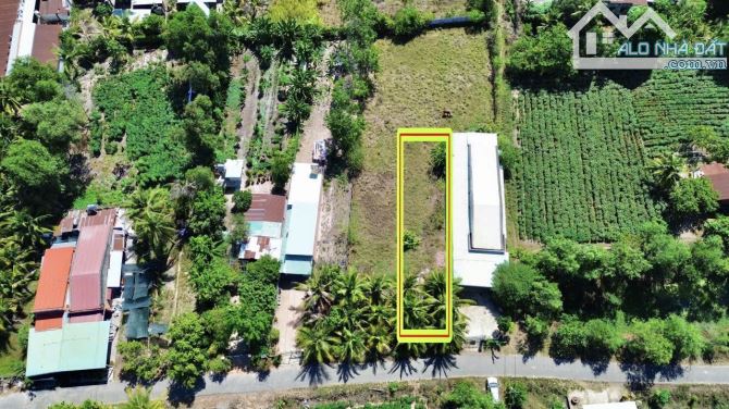 ✨ 5x40M (200M2 có 60M2 THỔ CƯ) LÚC SỐT ĐẤT KHÁCH TRẢ 600TR, GIỜ CẦN TIỀN BÁN NHANH - 419TR - 2