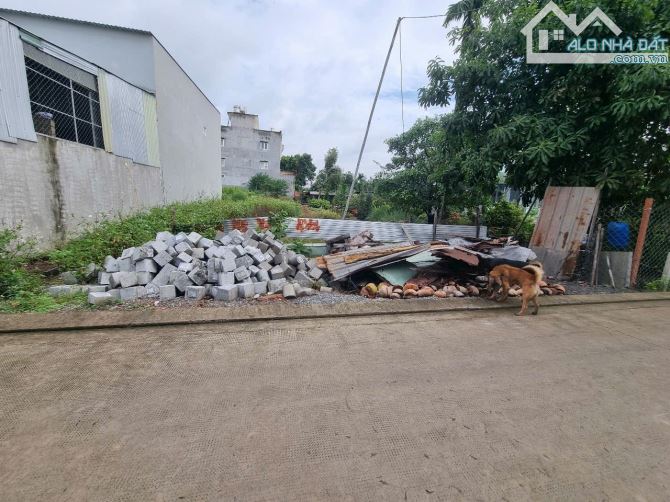 Bán gấp đất An Phú Đông, Quận 12 giá chỉ 28 triệu/m2 - 3