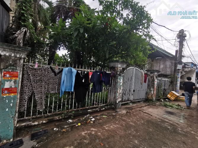 Bán đất full thổ cư đường vườn lài phường An Phú Đông Quận 12 - 3