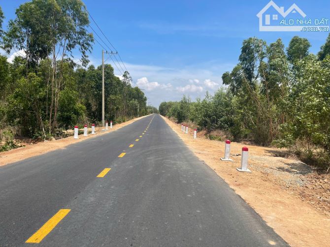 Bán 2.8 sào đất đường Phạm Thế Hiển, thị xã LaGi giá đầu tư - 3