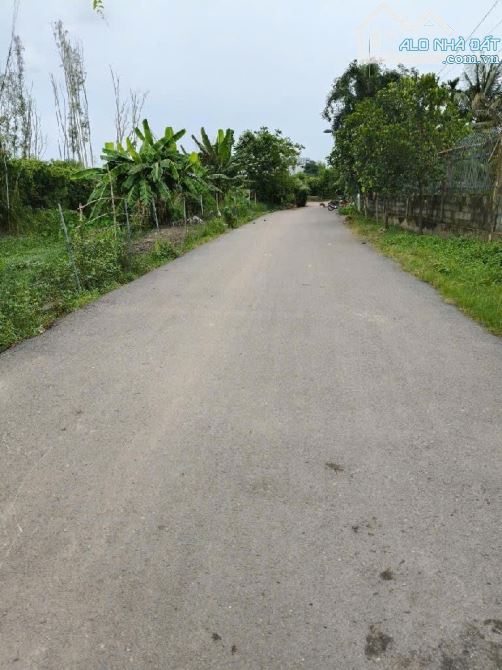 🔥Đất trồng ,đường Nhị Bình 15,xã Nhị Bình,Hóc Môn.dt 503,4m2 (7,5x67,5) đường 5m💵3.7tỷ.t - 3