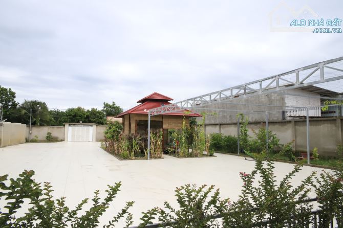 ⚡RESORT 6000M² BƯNG MÔN - LONG THÀNH ⚡ - 3