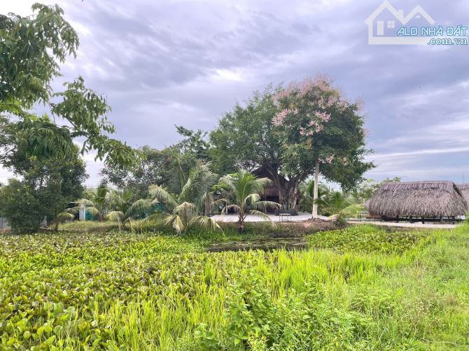 1000m2 View Kênh (400 đất ở) cực Đẹp chỉ 1,8tỷ - 3