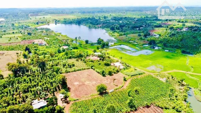 [CƠ HỘI ĐẦU TƯ] 5.500m2 Đất thổ 2 Mặt Tiền – Gần Trung Tâm Buôn Hồ, Daklak chỉ 1tỷ290tr - 3
