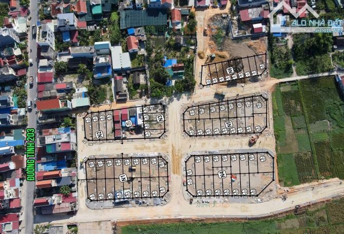 Chính chủ gửi lô đấu giá Bái Trong - Hoa động - Thuỷ Nguyên - 3
