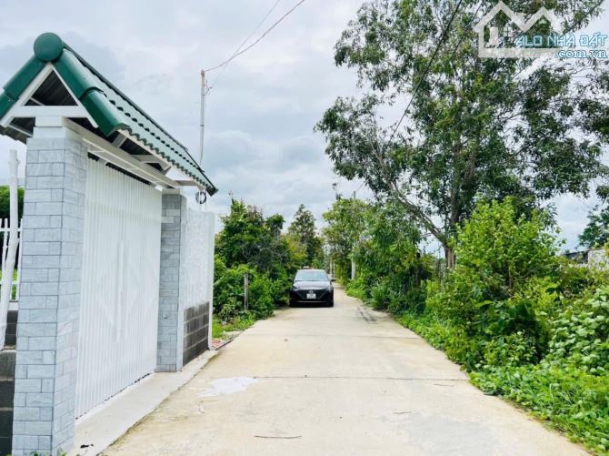 thị trấn Phước Hải-dt 1000M2 - 30M mặt tiền-(30x33) đất phủ hồng-sổ sẵn-giá 3tyx - 3