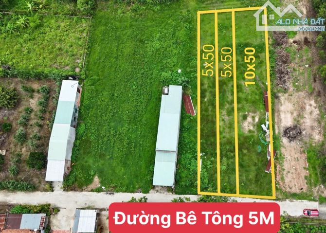 ✨ 2 NỀN FULL ONT: 5x50M, KDC đông đúc, đường Bê Tông 5M, nhiều tiện ích gần kề... - 599TR - 3