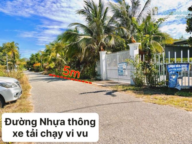 ✨ 5x40M (200M2 có 60M2 THỔ CƯ) LÚC SỐT ĐẤT KHÁCH TRẢ 600TR, GIỜ CẦN TIỀN BÁN NHANH - 419TR - 3