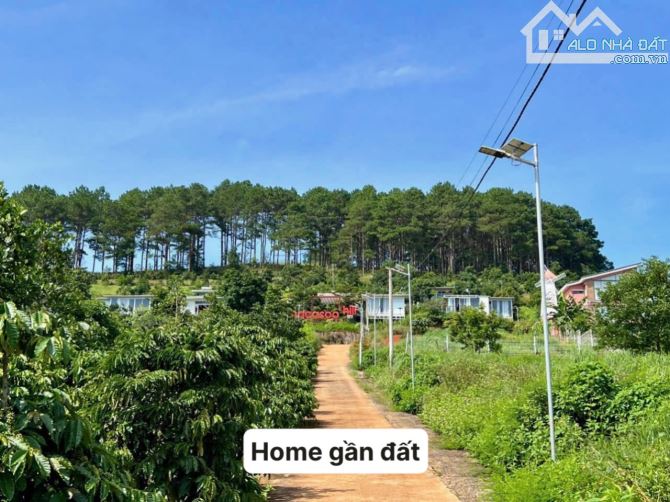 ✨ 1 LÔ DUY NHẤT 295M2 NGANG 6M, dưới chân Đèo Tà Nung, 2Km chạm địa phận TP Đà Lạt - 739TR - 3