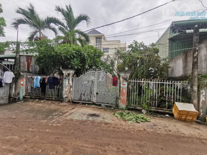 Bán đất full thổ cư đường vườn lài phường An Phú Đông Quận 12 - 4