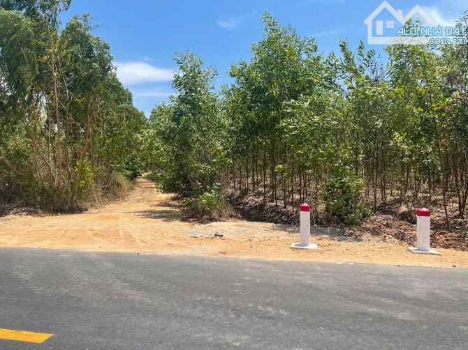 Bán 2.8 sào đất đường Phạm Thế Hiển, thị xã LaGi giá đầu tư - 4