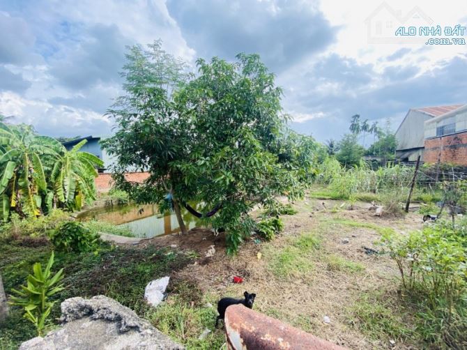 BÁN LÔ ĐẤT 1257M2- LÀM KHO XƯỞNG - XÂY TRỌ - ĐẦU TƯ- NHỊ BÌNH - HÓC MÔN - 4