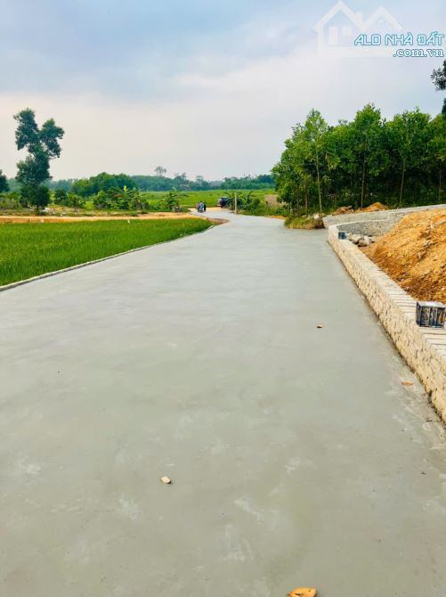 Cần tiền gấp bán đất Bắc Sơn 124 m2, giá chỉ hơn 1 tỷ, ô tô đỗ - 4