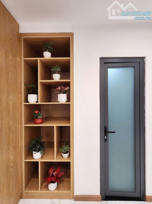 6❌19m, BÁN TOÀ NHÀ CHDV 5 TẦNG, 15PN, 134tr/tháng, NGUYỄN THIỆN THUẬT, Q.3, 20.x TỶ - 4