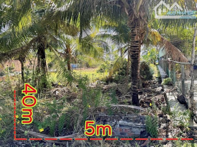 ✨ 5x40M (200M2 có 60M2 THỔ CƯ) LÚC SỐT ĐẤT KHÁCH TRẢ 600TR, GIỜ CẦN TIỀN BÁN NHANH - 419TR - 4