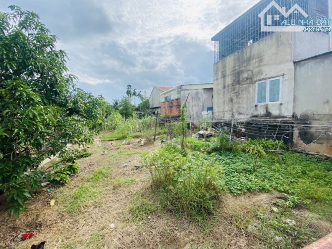 BÁN LÔ ĐẤT 1257M2- LÀM KHO XƯỞNG - XÂY TRỌ - ĐẦU TƯ- NHỊ BÌNH - HÓC MÔN - 5