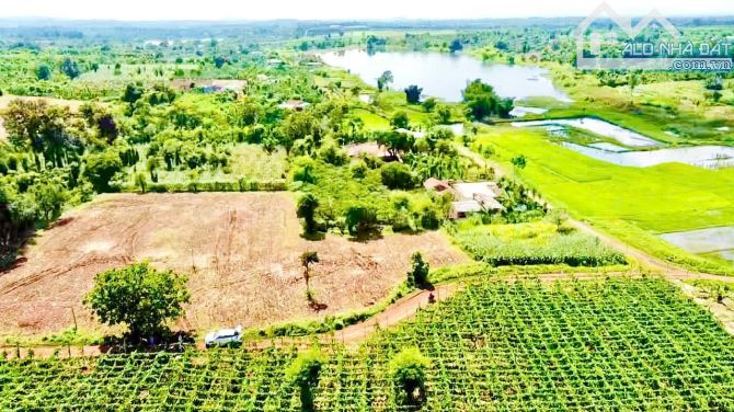 [CƠ HỘI ĐẦU TƯ] 5.500m2 Đất thổ 2 Mặt Tiền – Gần Trung Tâm Buôn Hồ, Daklak chỉ 1tỷ290tr - 5