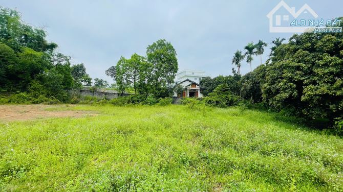 BÁN 2 LÔ ĐẤT HƠN 1000M ĐẤT NHUẬN TRẠCH LƯƠNG SƠN HÒA BÌNH GIÁ CHỈ HƠN 6TR/M - 5