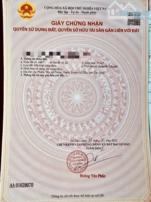 ✨ 2 NỀN FULL ONT: 5x50M, KDC đông đúc, đường Bê Tông 5M, nhiều tiện ích gần kề... - 599TR - 5