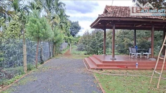 Bán lô đất sào mặt tiền KA11 xã Eatu giá rẻ - 6
