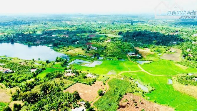 [CƠ HỘI ĐẦU TƯ] 5.500m2 Đất thổ 2 Mặt Tiền – Gần Trung Tâm Buôn Hồ, Daklak chỉ 1tỷ290tr - 6