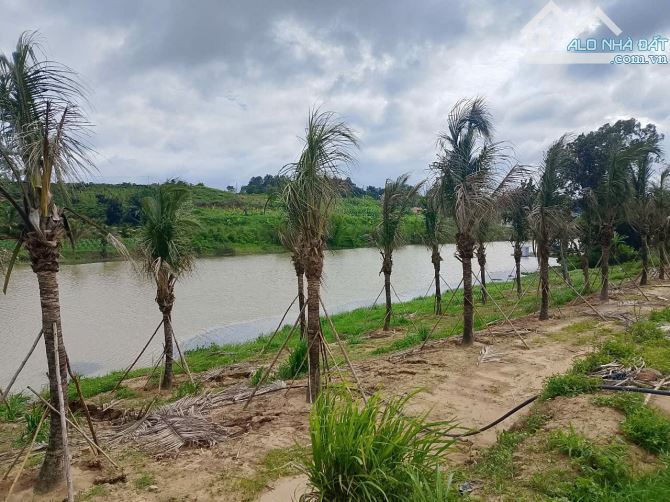Bán 500m2 đất ở nghỉ dưỡng ở Ninh Gia-Đức Trọng-Lâm Đồng - 6