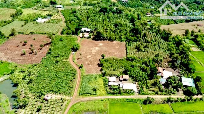 [CƠ HỘI ĐẦU TƯ] 5.500m2 Đất thổ 2 Mặt Tiền – Gần Trung Tâm Buôn Hồ, Daklak chỉ 1tỷ290tr - 9