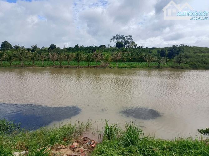 Bán 500m2 đất ở nghỉ dưỡng ở Ninh Gia-Đức Trọng-Lâm Đồng - 9