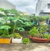 🏡 LÔ ĐẤT NGANG KHỦNG 9M – SÁT VINHOMES – GIÁ TỐT NHẤT KHU VỰC! 📍 P. Long Thạnh Mỹ, TP. T
