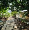 🔥Nhà Cấp 4,đường Hà Huy Giáp,Phường THẠNH LỘC Quận 12.dt:769 (12x64) đường 6m 💵30tỷ.tl