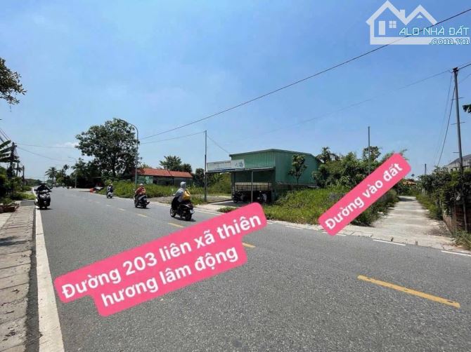 Chào bán lô đất 55m ngay trục 203 vào chỉ 30m giá đầu tư chỉ 1,4xx tỷ 👉Ngay cạnh công viê