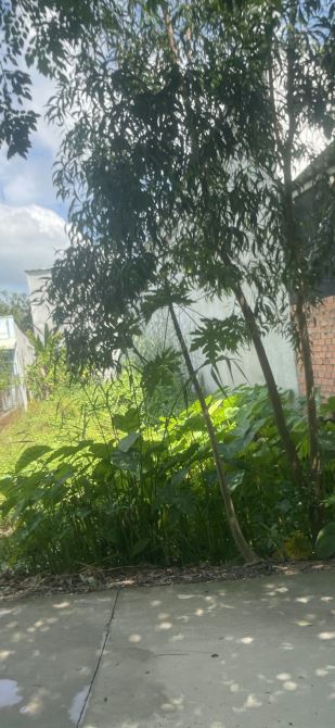 Đất ngộp giá hời 2,5 tỷ; 362m2 full thổ, Xã Hựu Thạnh, Đức Hòa, Long An