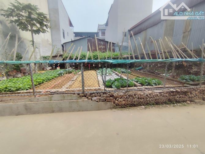 Bán đất Phù Khê, Từ Sơn , Bắc Ninh 97M - 5