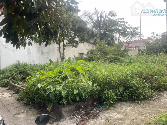 💥 CHẠM ĐẤT – TRÚNG VÀNG! 🏡 SIÊU PHẨM LÔ GÓC – 3 MẶT THOÁNG NGUYÊN KHÊ – ĐÔNG ANH .