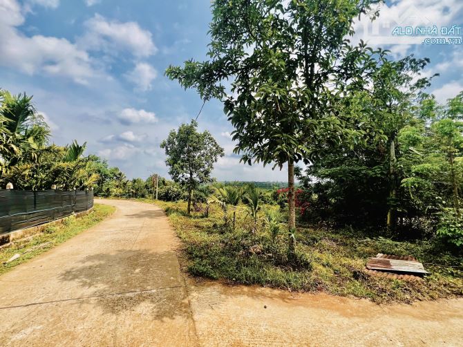 ✨ 5.810M2 (400M2 ONT) MẢNH VƯỜN LÝ TƯỞNG, CÓ VIEW CÁNH ĐỒNG LÚA XANH RÌ + 2 AO CÁ - 2,2 TỶ