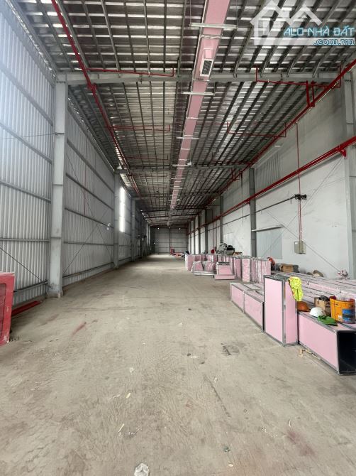 Cho thuê kho xưởng trong KCN Cát Lái 800m2; 2000m2; 3600m2 - 1