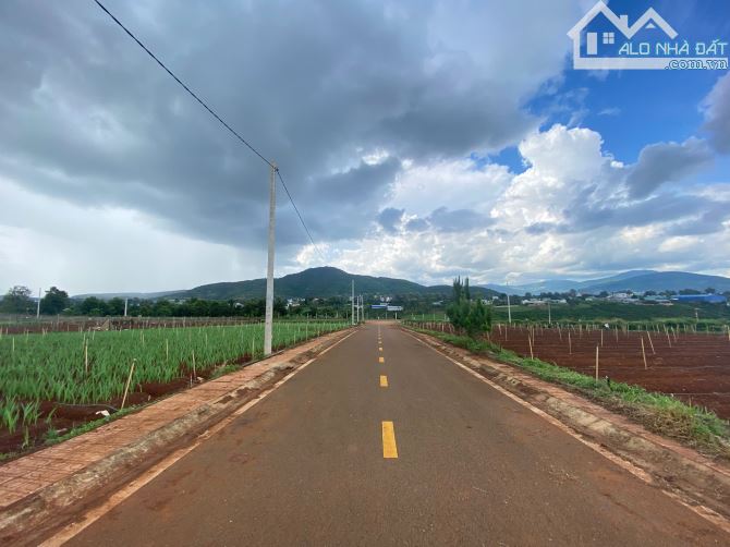 Bán Đất Nền Thổ Cư, Sổ Hồng Riêng, Gần Trung Tâm – Giá Tốt Cho Nhà Đầu Tư - 1
