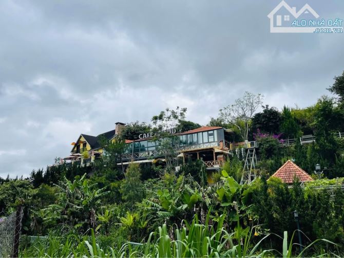 🔥 342m2 Đất xây VILLA ở An Bình P3 ĐL hạ còn 13.5 tỷ - 1