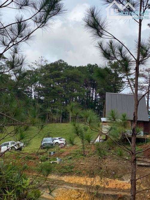 2 HA 7 ĐẤT VIEW NGHĨ DƯỠNG NGAY VÙNG VEN ĐÀ LẠT, CHỈ 7 TỶ 5 - 1
