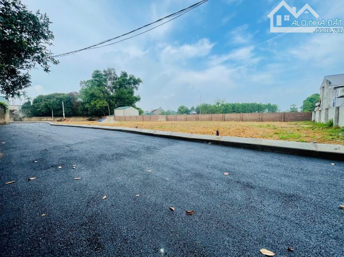 Cơ hội đầu tư đất nền Sơn Đông, Hòa Lạc, vị trí đắc địa - 1