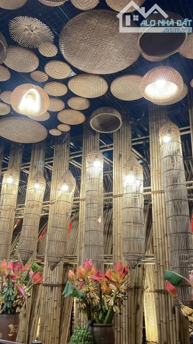 CCMN TT Hoàng Mai 100m2_Nhỉnh 22ty