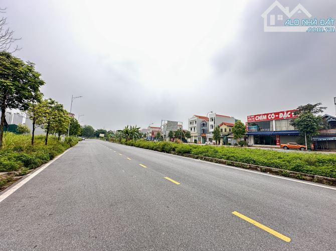 Bán đất Trung Đông Nhật Tân mặt đường Chim Cò - 1