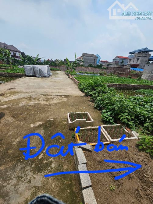 Bán Gấp Lô Đất Đẹp Xuân Nộn – 47m² – Ngõ Rộng 5m, ô tô Vào Tận Nơi - 1