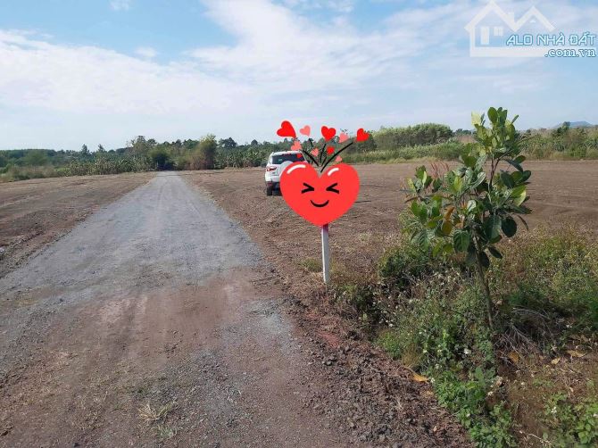 Bán lô đất siêu đẹp sát TP Long Khánh, 5000m2 có 200m2 thổ cư, xây nhà vườn - 1