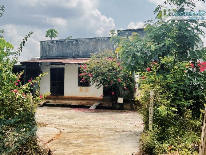 ✨ 5.810M2 (400M2 ONT) MẢNH VƯỜN LÝ TƯỞNG, CÓ VIEW CÁNH ĐỒNG LÚA XANH RÌ + 2 AO CÁ - 2,2 TỶ - 1