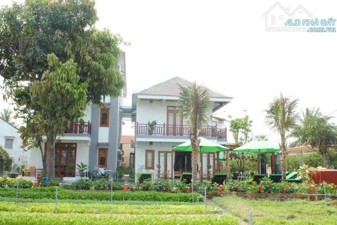 VILLA VIEW SÔNG - VIEW LÀNG RAU TRÀ QUẾ - GẦN PHỐ CỔ HỘI AN - 16