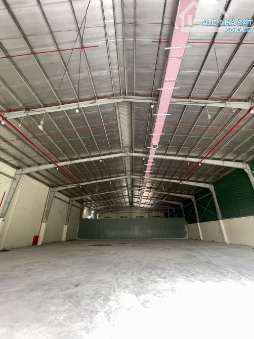 Cho thuê kho xưởng trong KCN Cát Lái 800m2; 2000m2; 3600m2 - 2