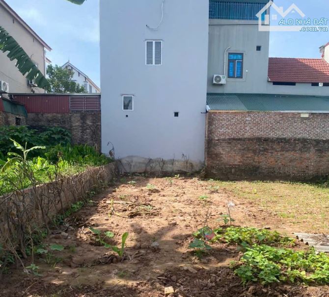 Bán đất Đồng Tháp, Đan Phượng, Hà Nội - 40m2 - view đẹp, giá tốt - 2