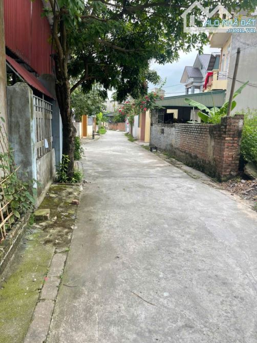 Cần bán lô dất dân ngay sat khu đô thị bệnh viện nhi - TP Hải Dương - 2