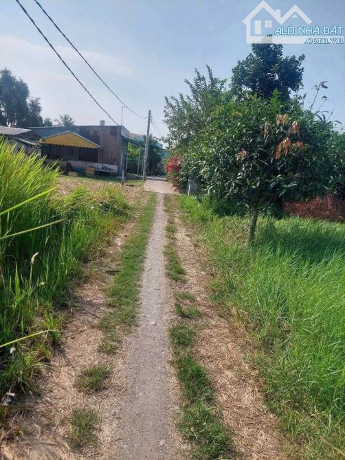 Bán lô đất vườn xã Long An, Cần Giuộc: 429m2 đường xe hơi - 2